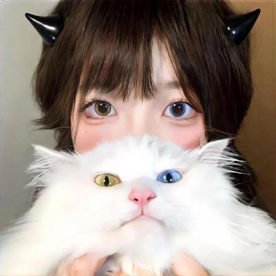 猫和老鼠：飙风天王